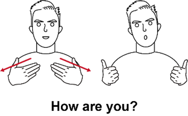 Auslan Update Banner Photo