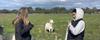 Year 9 Bushwhacked Banner Photo