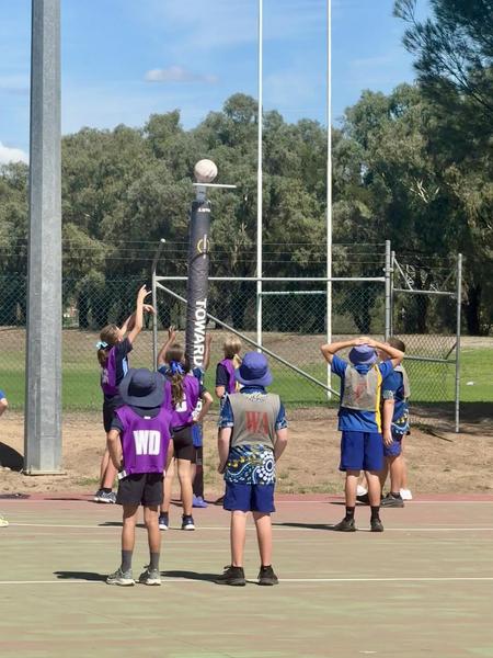 Sport - Term 2 Banner Photo