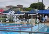 Swimming Carnival Banner Photo
