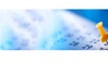 Key Dates Banner Photo