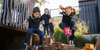 Curiosity ELC Banner Photo