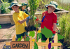Gardening Club Banner Photo
