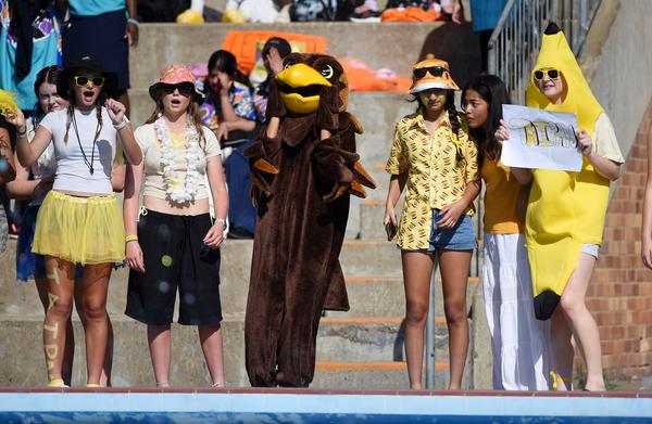 Swimming Carnival 2026 Banner Photo