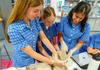 Year 8 Enhancement Studies Banner Photo