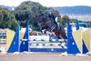 Equestrian Banner Photo