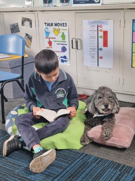 Wellbeing Corner Banner Photo