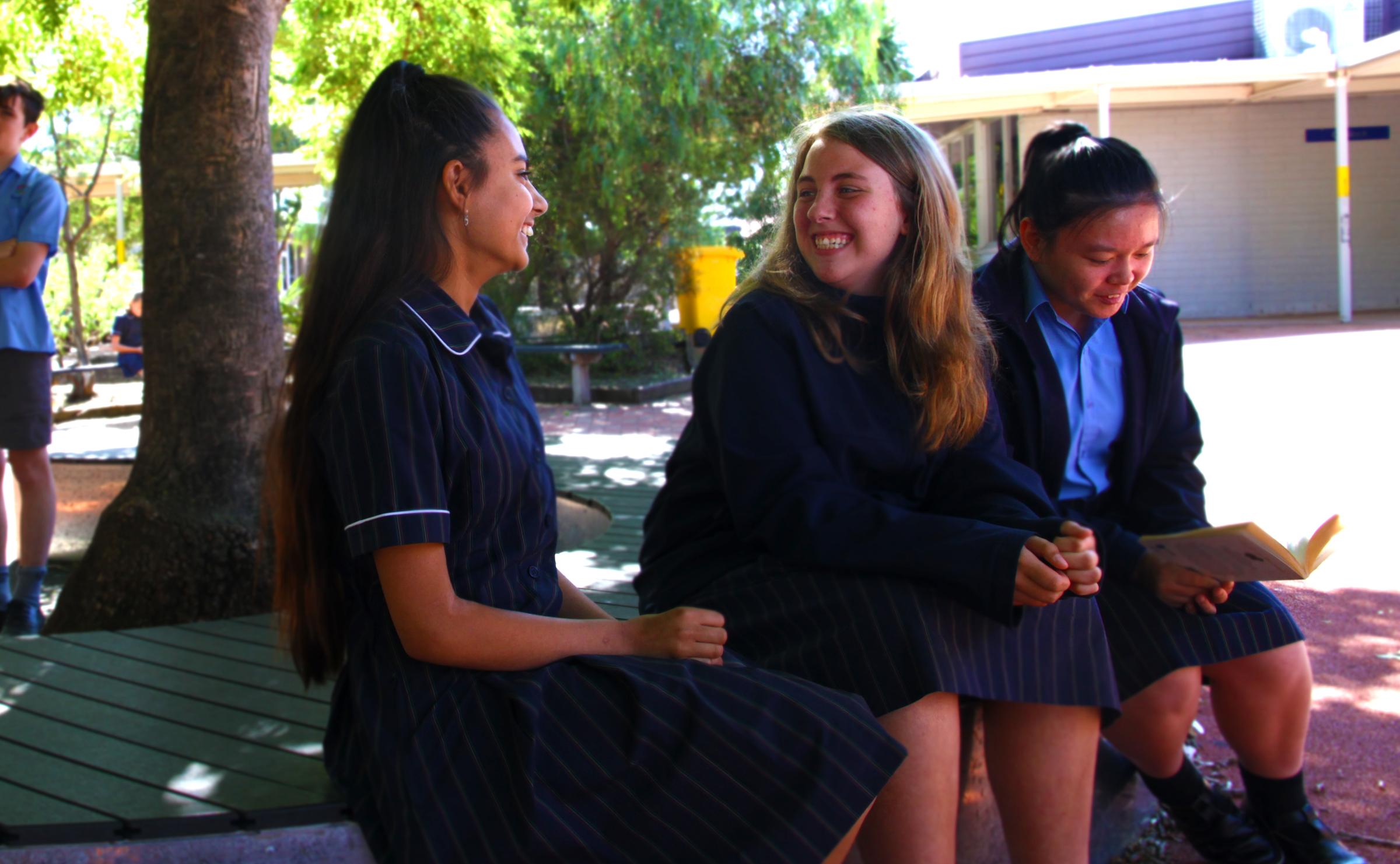 Banner Photo