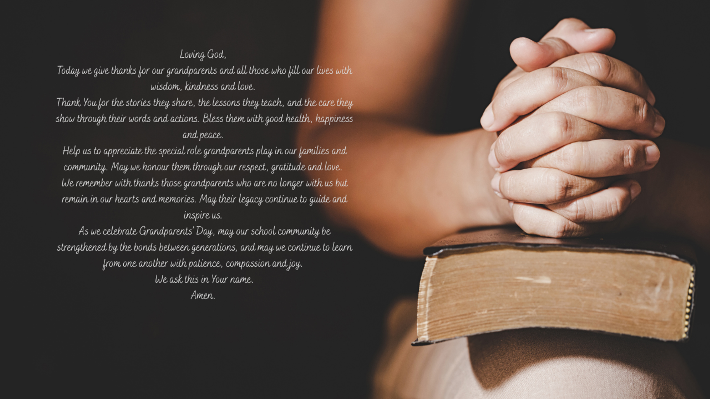 Banner Photo