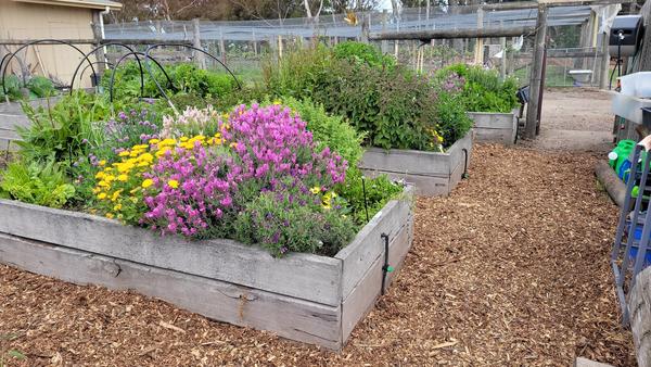 Meet the Teacher Banner Photo