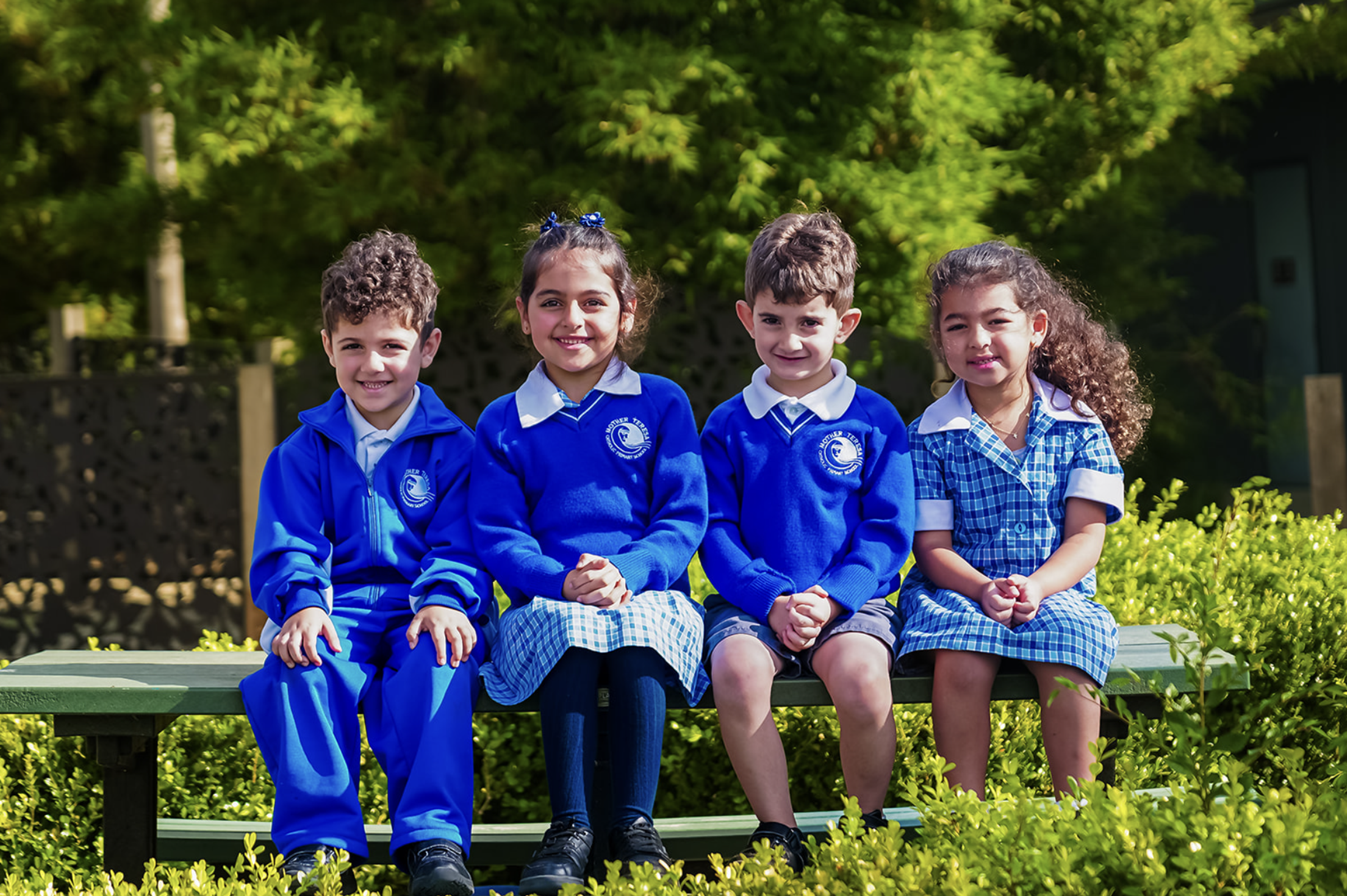 Welcome to FoundationTerm 3  Banner Photo