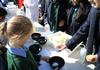 Science Banner Photo