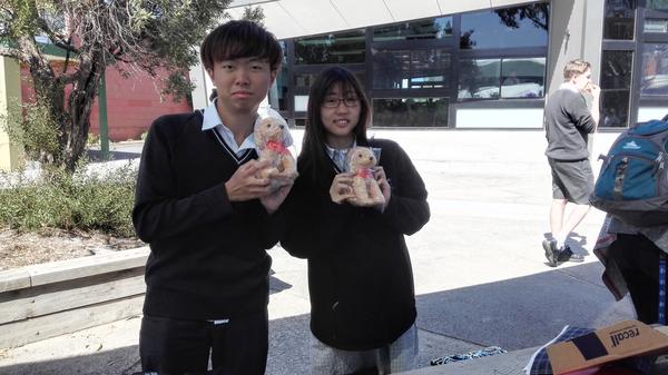 Harmony Day Banner Photo