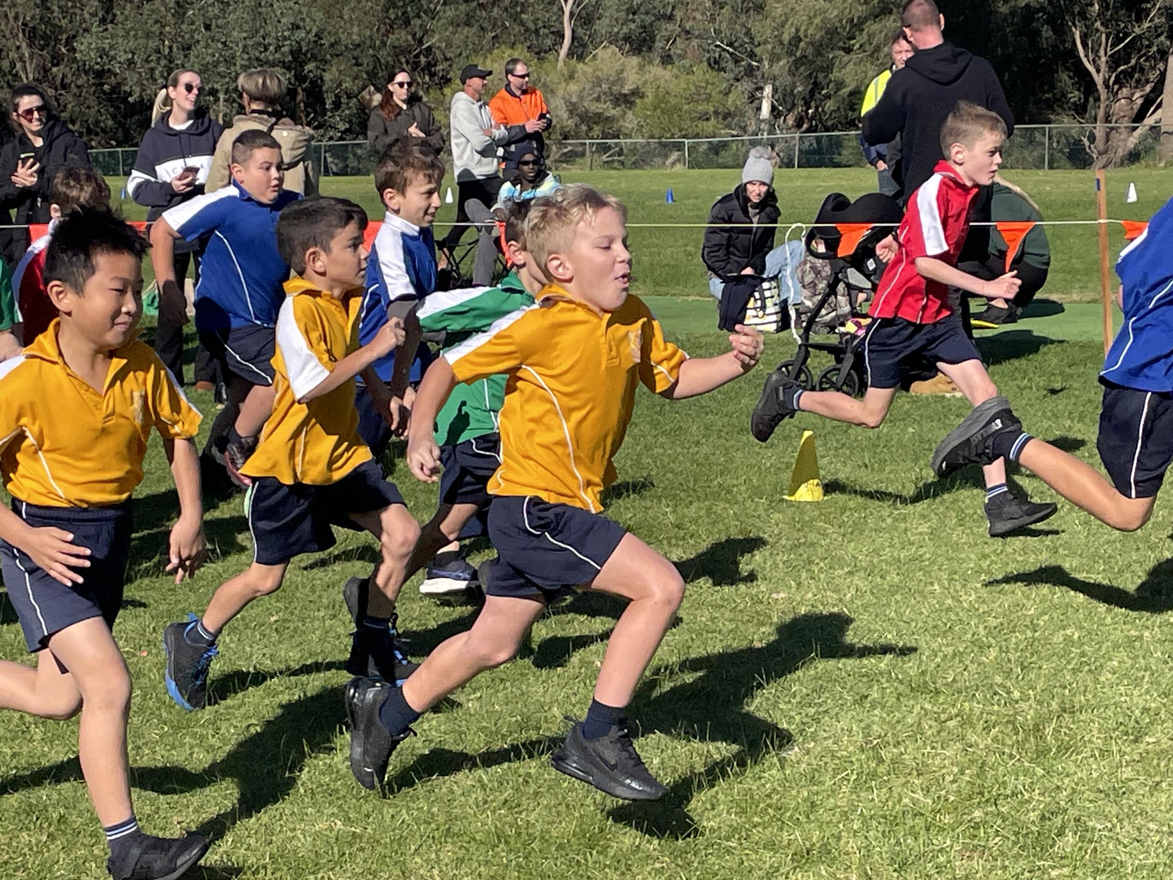 Cross Country Carnival Banner Photo