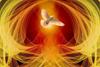 Catholic Identity  Banner Photo
