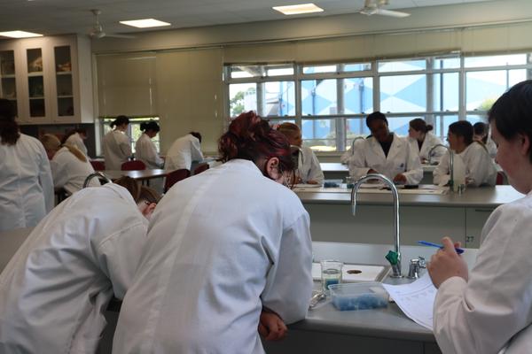 VCE News Banner Photo