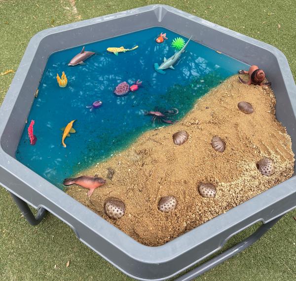 Outside School Hours Care Banner Photo