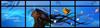 Current Page Banner Photo