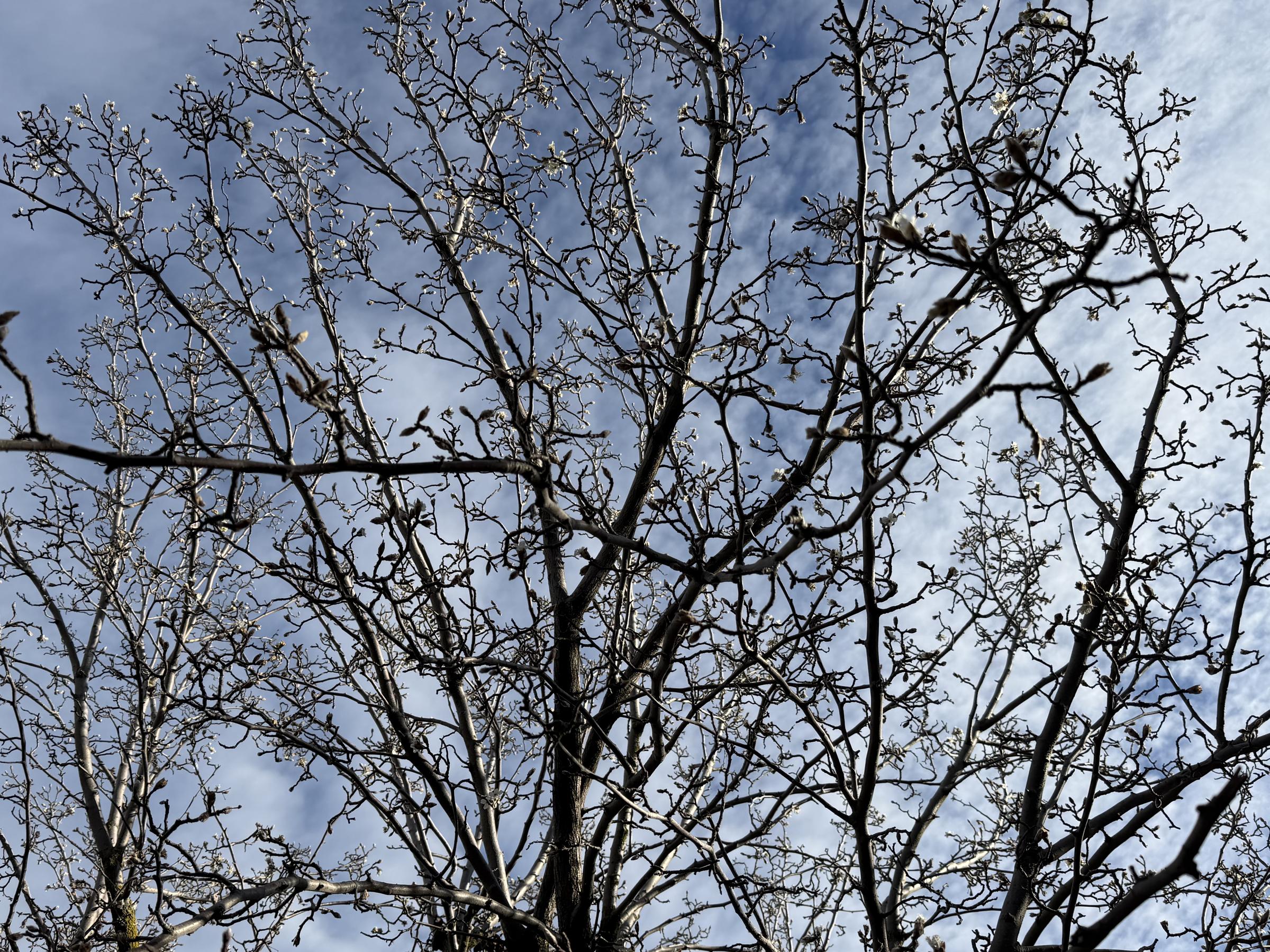 Banner Photo