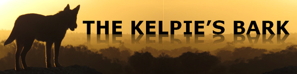 Community News Banner Photo