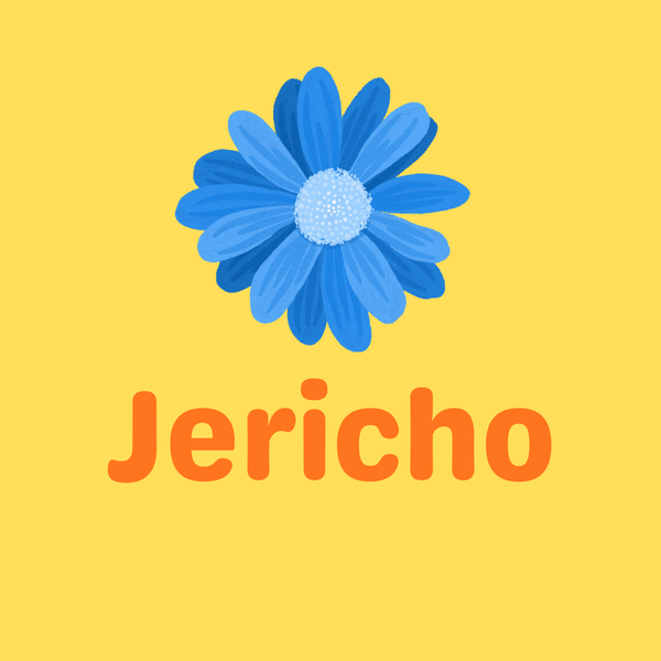 Year Four Spotlight on Learning Banner Photo