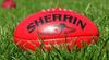 Footy Colour Day & Special Lunch  - 18th September  Banner Photo