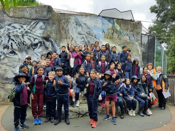 Year Four Spotlight on Learning Banner Photo