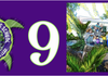 Page 0 Banner Photo