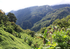 Walking The Kokoda Track Banner Photo