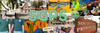 Current Page Banner Photo