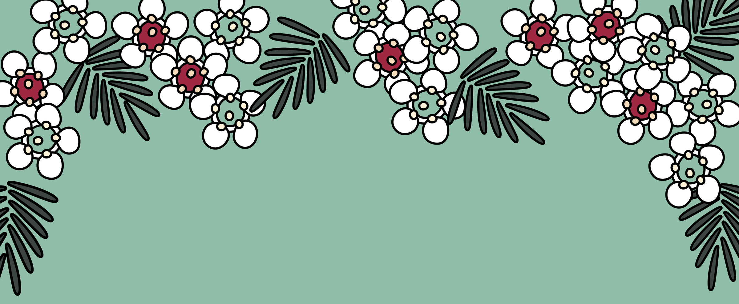 Banner Photo