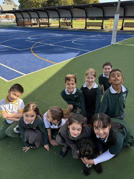 Postive Behaviour for Learning Banner Photo