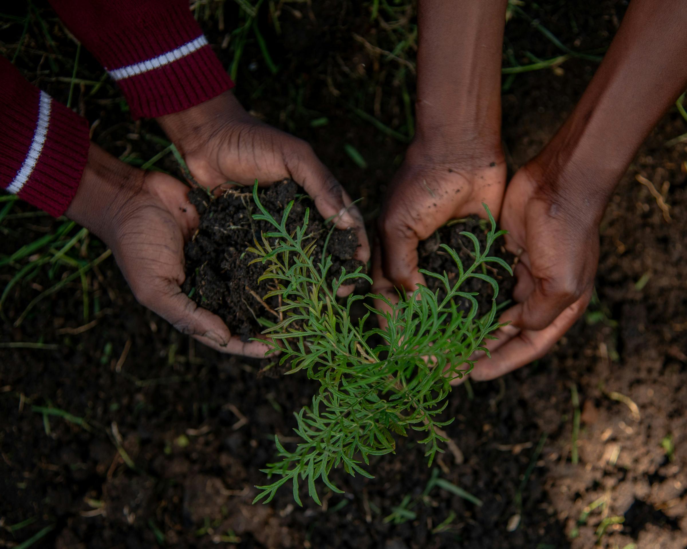 Job Spotlight: Horticulturist Banner Photo