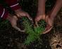 Job Spotlight: Horticulturist Banner Photo