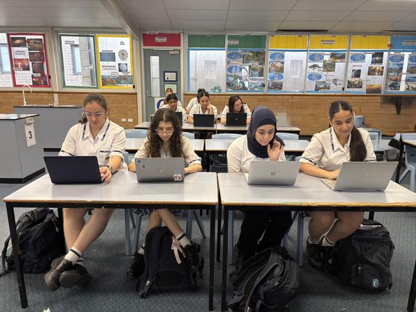 Curriculum Banner Photo