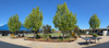 Current Page Banner Photo