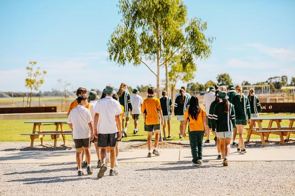 Important Information Banner Photo