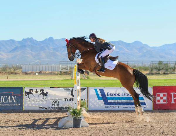 Sport: Equestrian Lacy Solimo Banner Photo