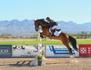 Sport: Equestrian Lacy Solimo Banner Photo
