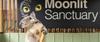 Prep Excursion to Moonlit Sanctuary Banner Photo