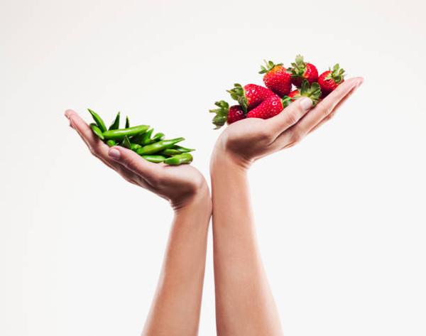 Food Studies  Banner Photo