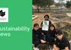 Sustainability Banner Photo
