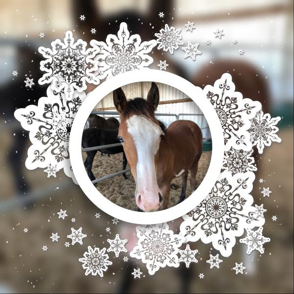 Principal Banner Photo