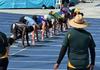Sports News Banner Photo