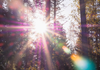 "Shining Light"
Alumni
Award Banner Photo