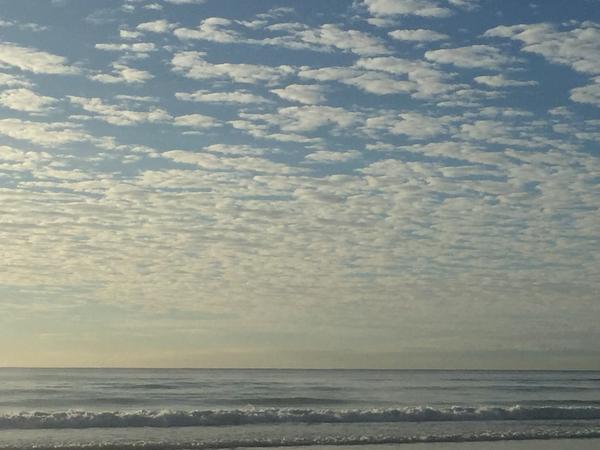 Education in Faith Banner Photo