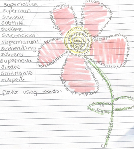 Year 5/6 Bulletin Banner Photo