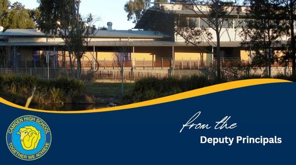 From the Deputy Principals Banner Photo