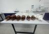 Year 12 Biology Banner Photo