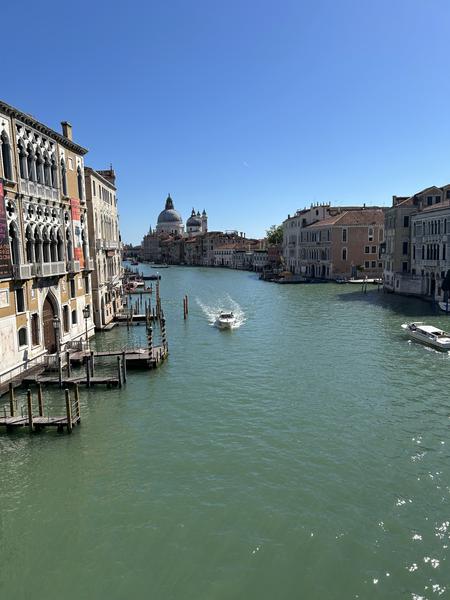 From the Principal Banner Photo